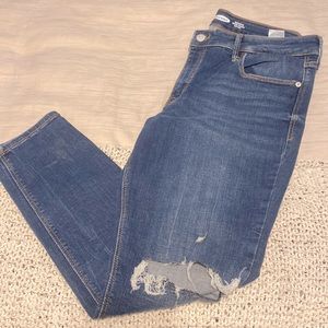 Women's Distressed Medium Wash Jeans